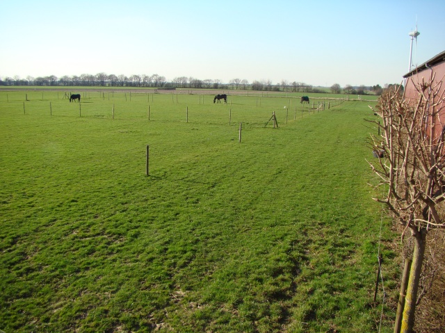 DSC08707.JPG