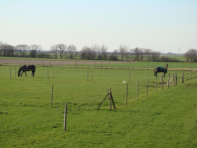 DSC08714.JPG