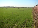 DSC08707.JPG