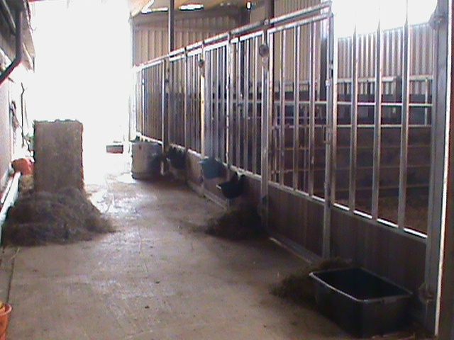 DSC00090.JPG